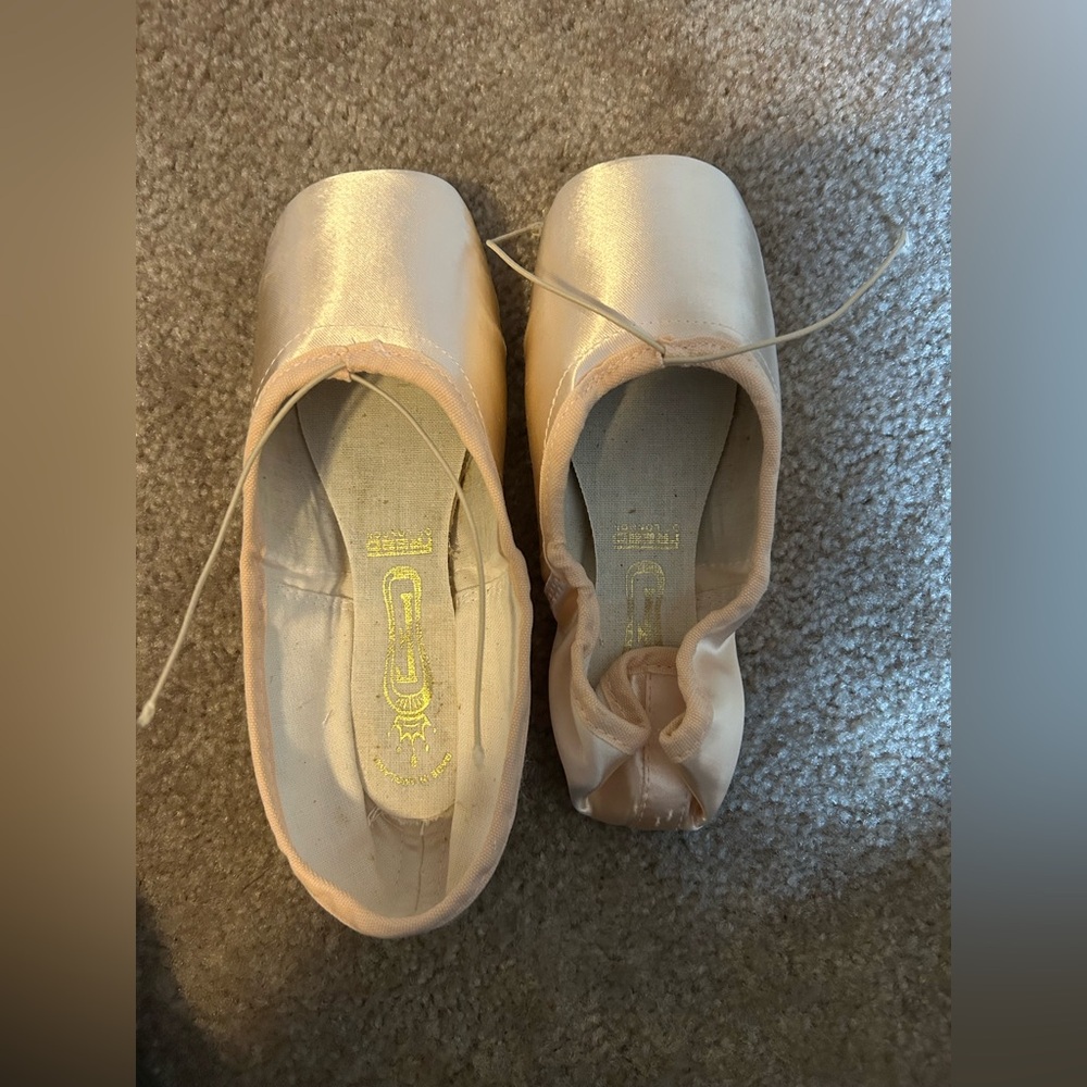Custom Freed Pointe Shoes